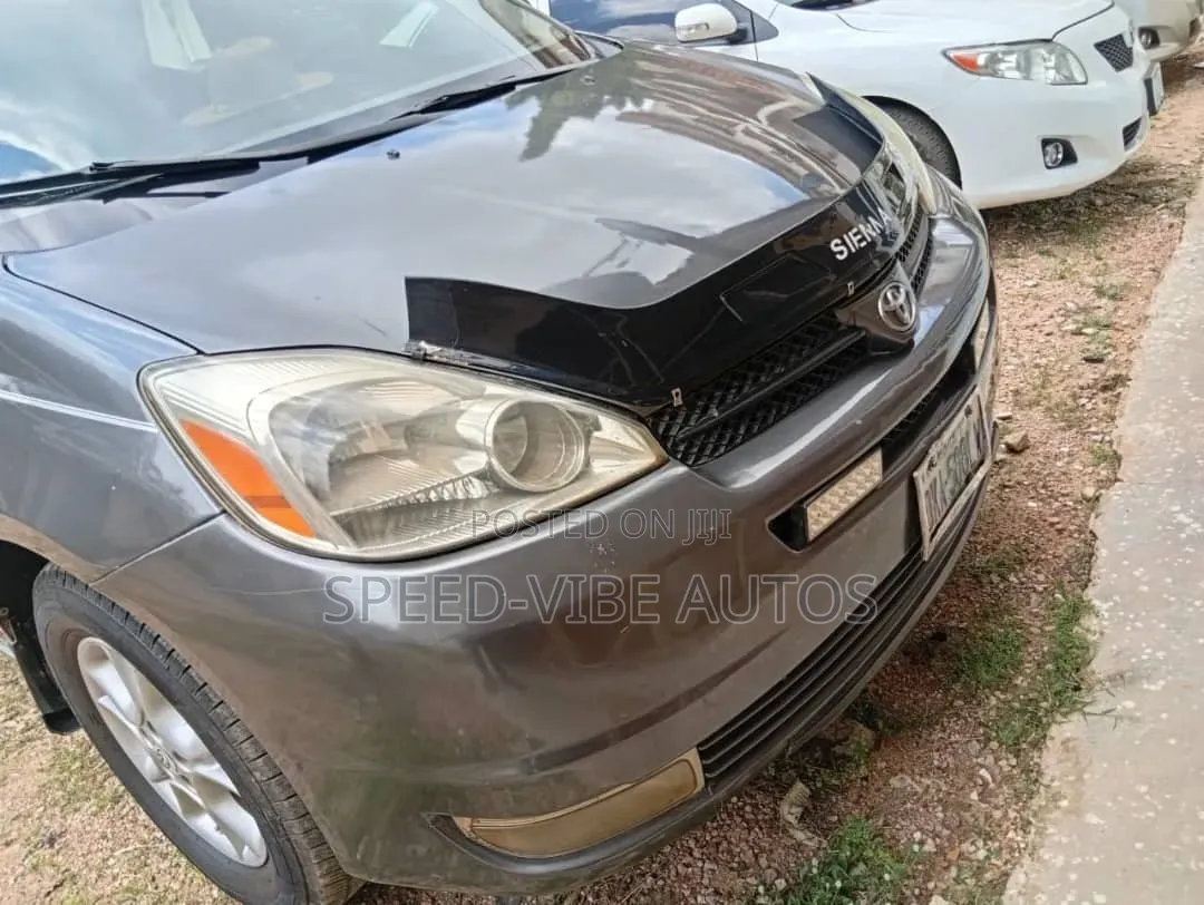Toyota Sienna 2007 Gray