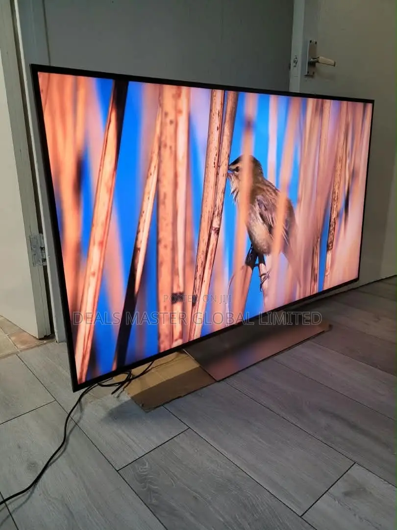 Exceptional 55 Inches Sony Bravia Android UHD Google Assistance TV