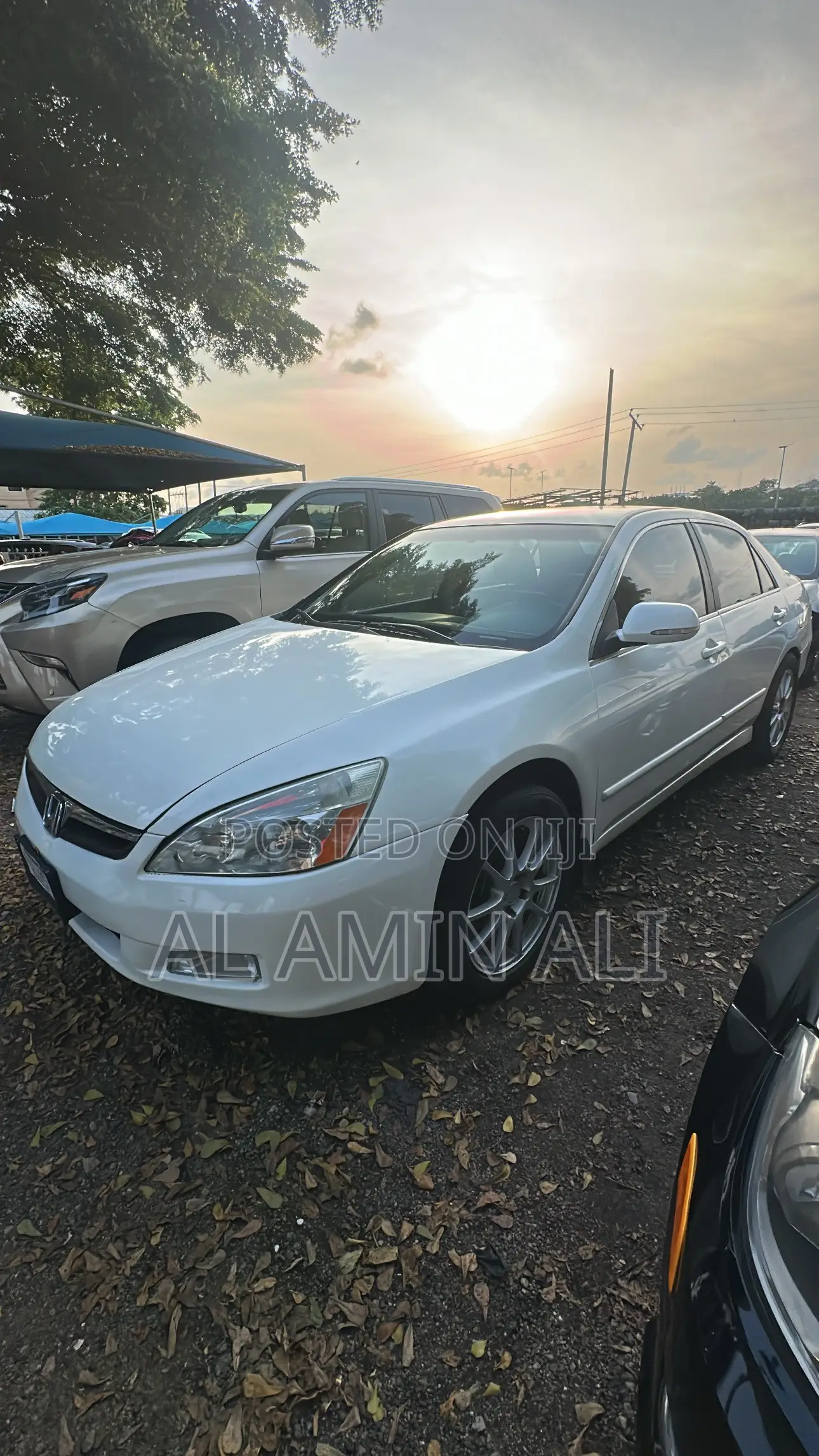 Honda Accord 2005 White