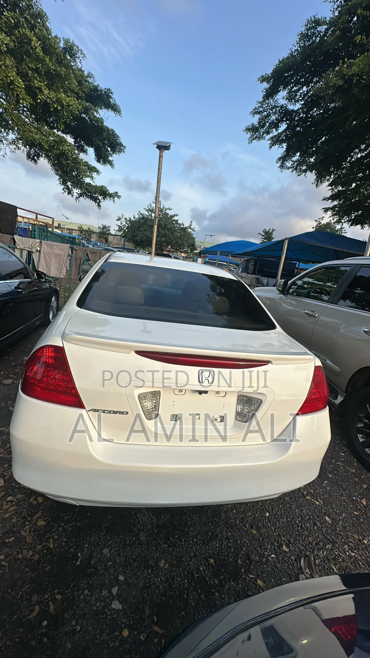 Honda Accord 2005 White