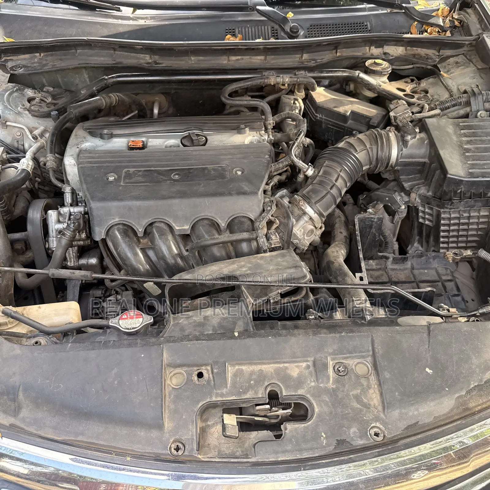 Honda Accord 2010 Green