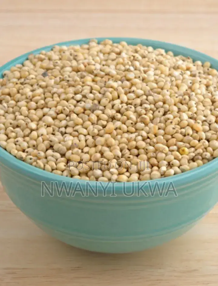 Sorghum (Guinea Corn)