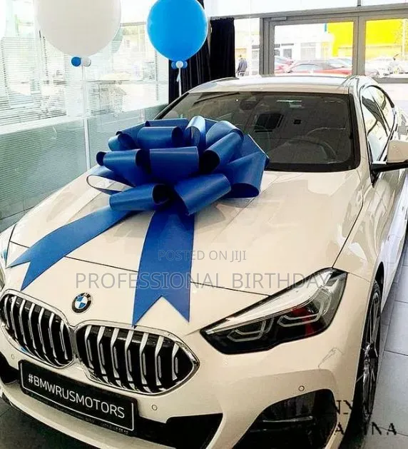 Promo Best Lagos Car Bow Seller