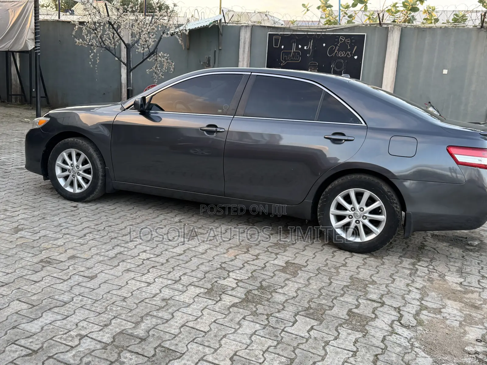 Toyota Camry XLE 4dr Sedan (2.5L 4cyl 6A) 2011 Gray