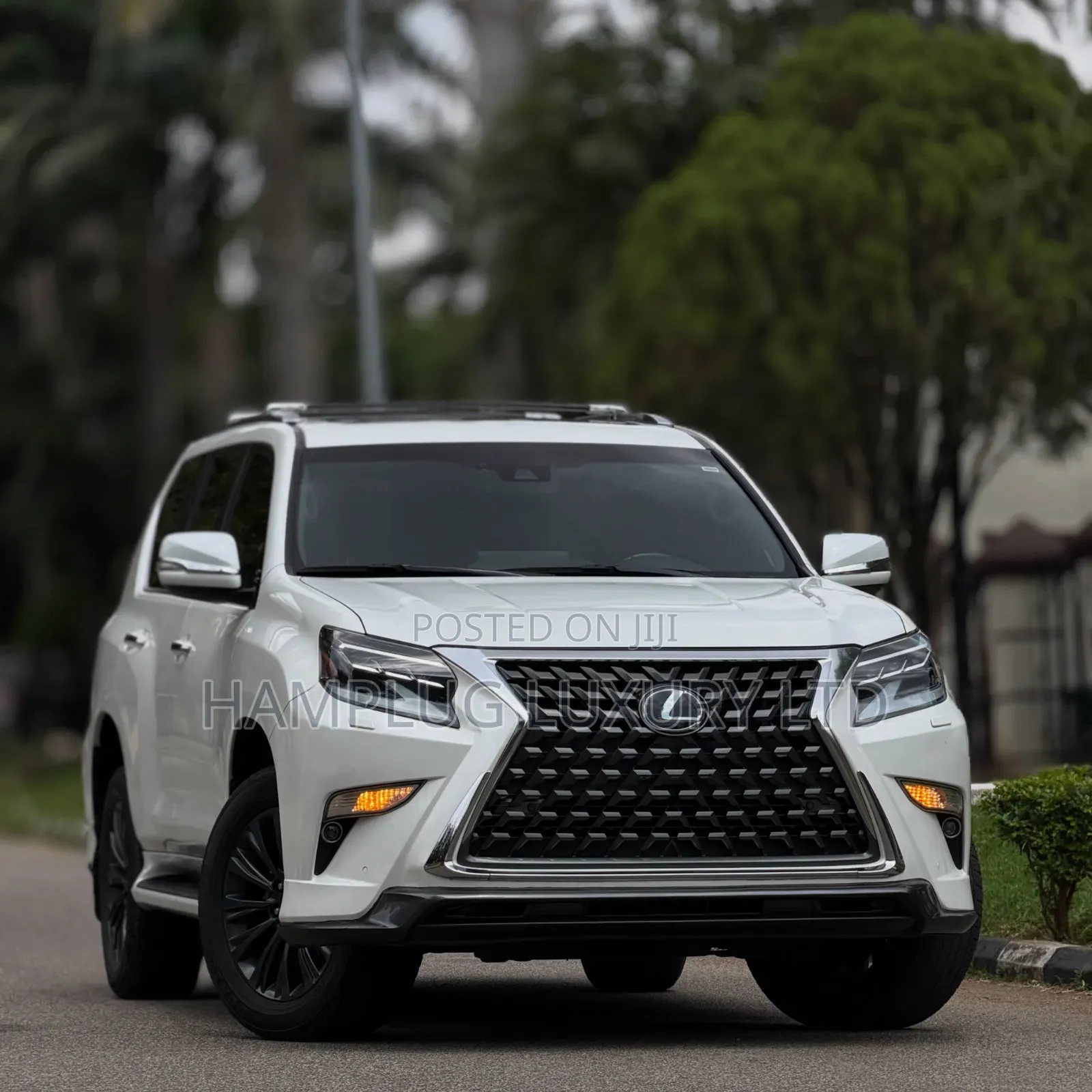 Lexus GX 460 AWD 2022 White