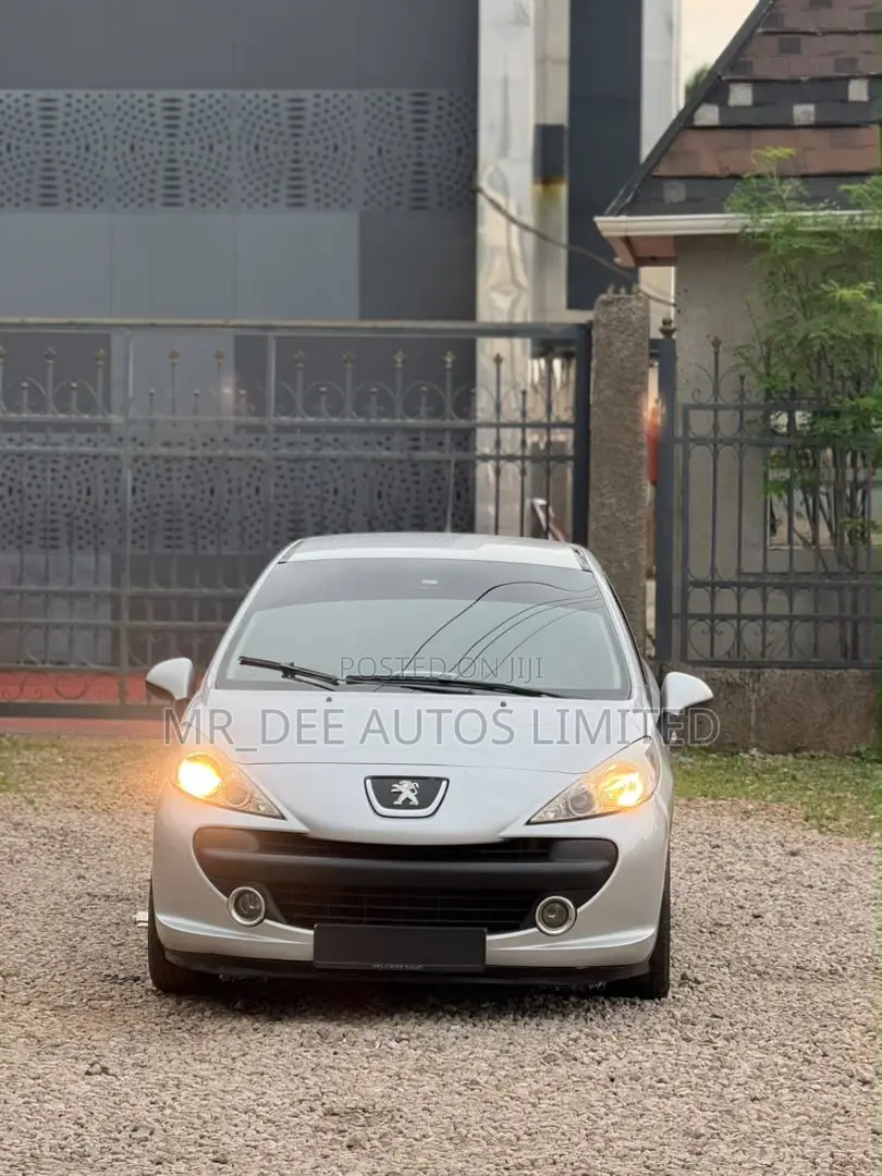 Peugeot 207 2009 Silver