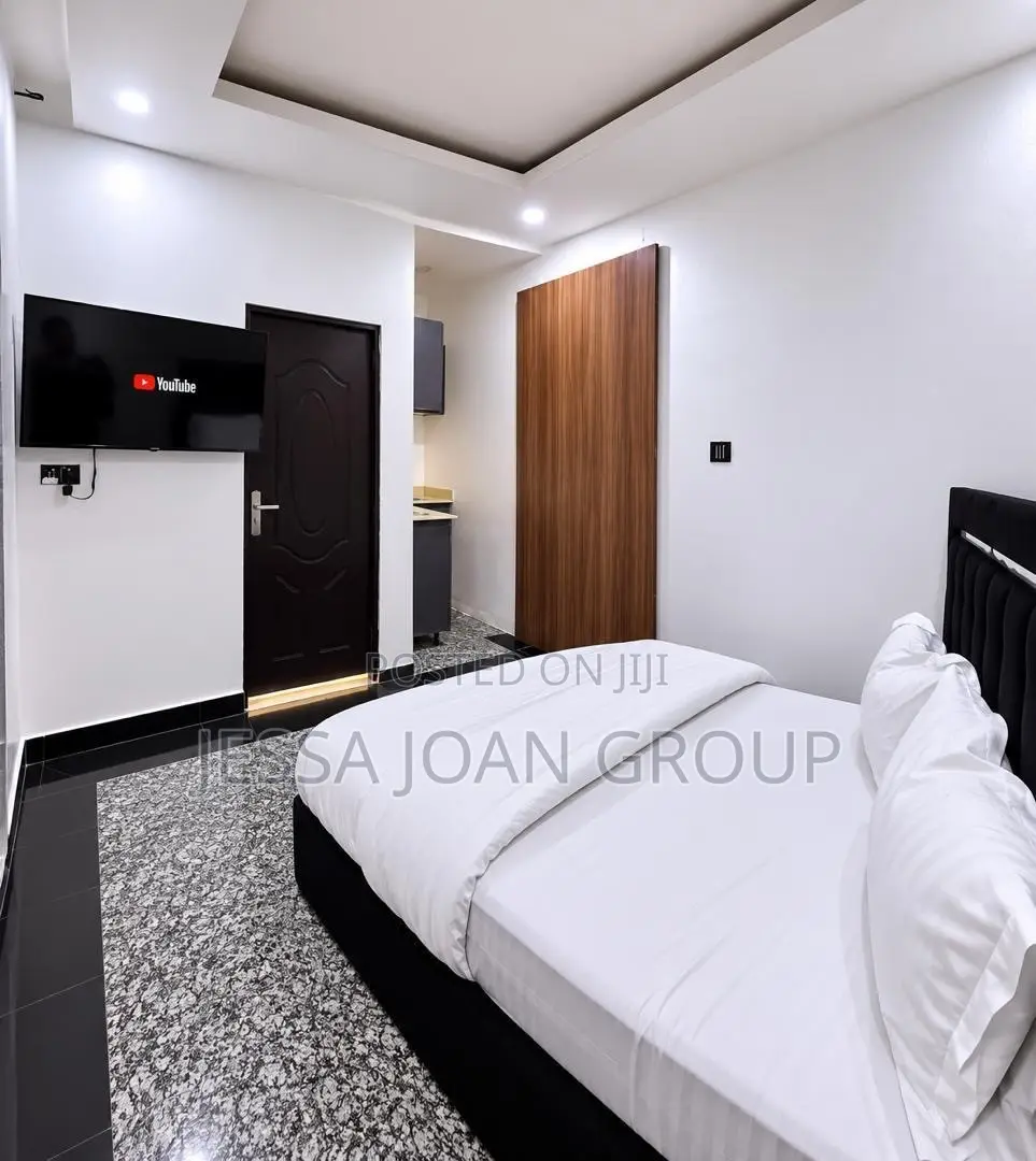 Furnished 1bdrm Block of Flats in Wuse 2 for rent