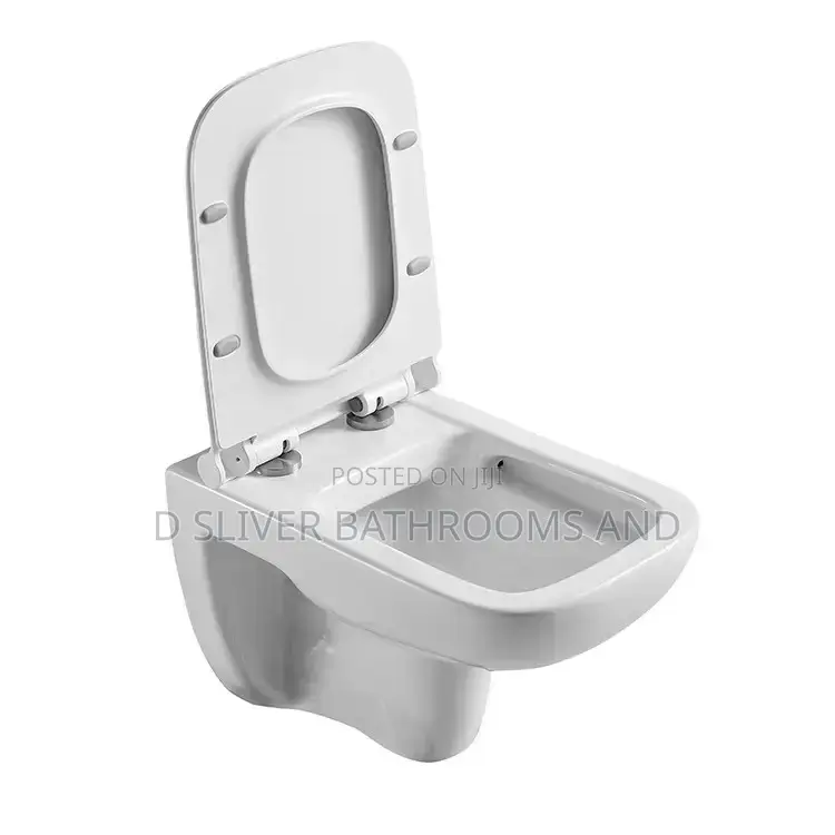Morden Hung-Wall Concealed Water Closet