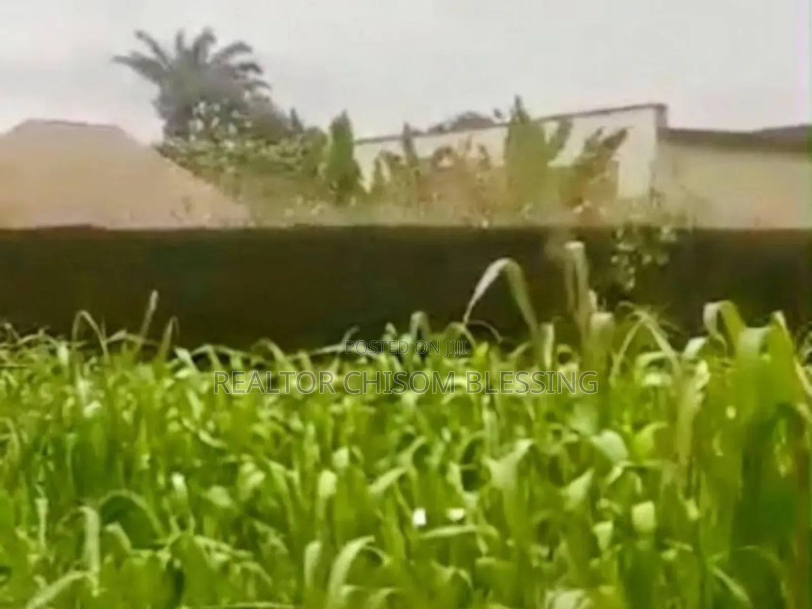 9 Plots of Prime Land With C of O for Sale in Ubakala, Umuahia!