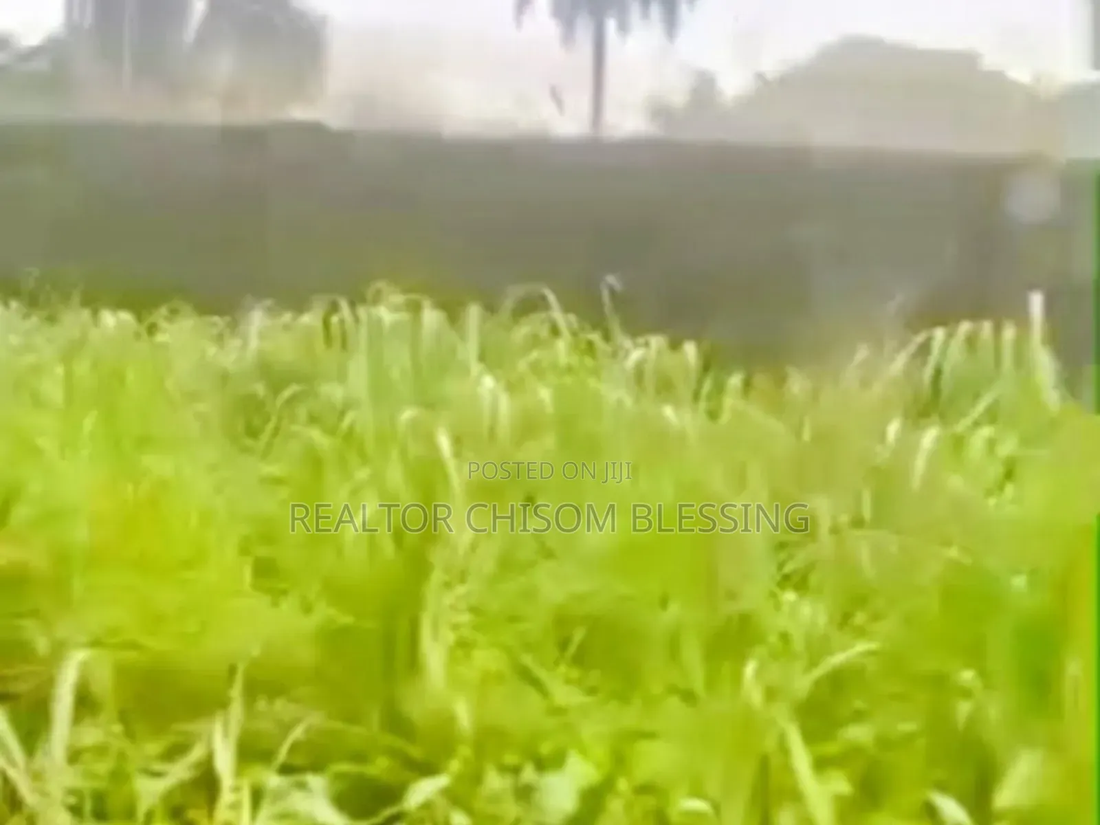 9 Plots of Prime Land With C of O for Sale in Ubakala, Umuahia!