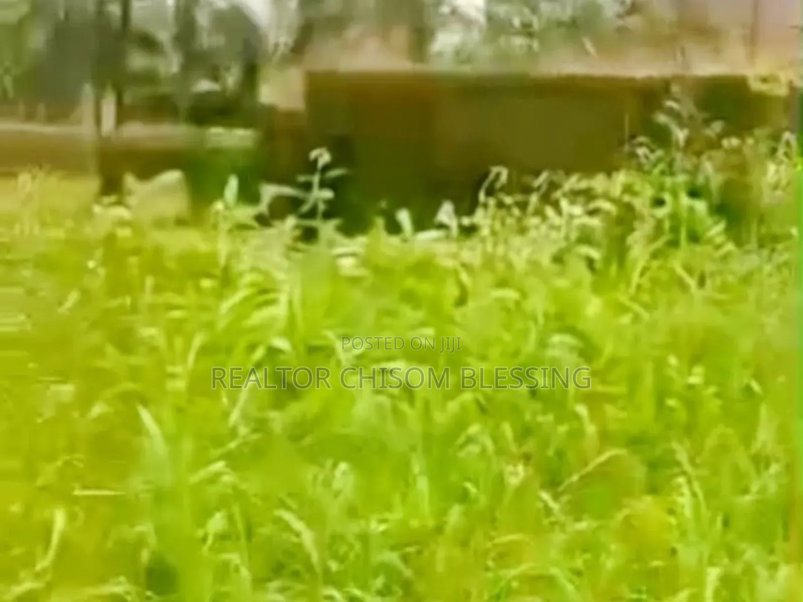 9 Plots of Prime Land With C of O for Sale in Ubakala, Umuahia!