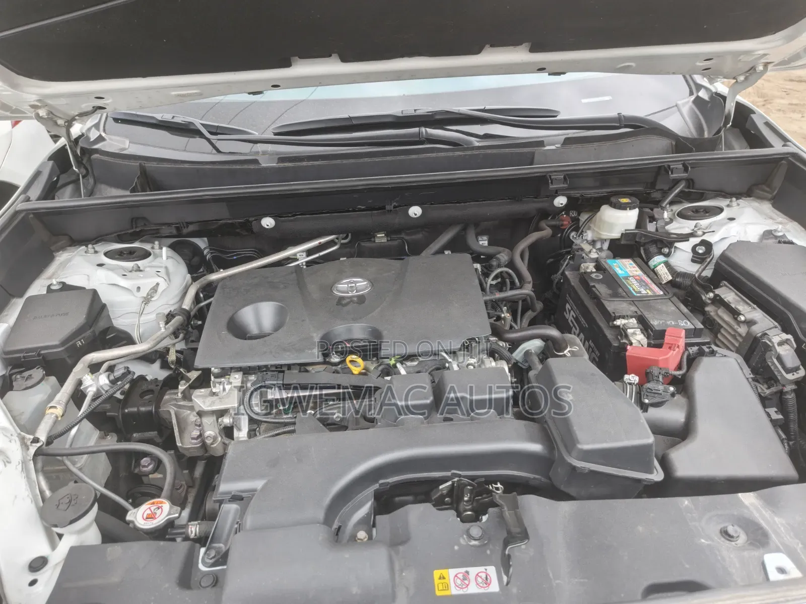 Toyota RAV4 Limited AWD 2024 White