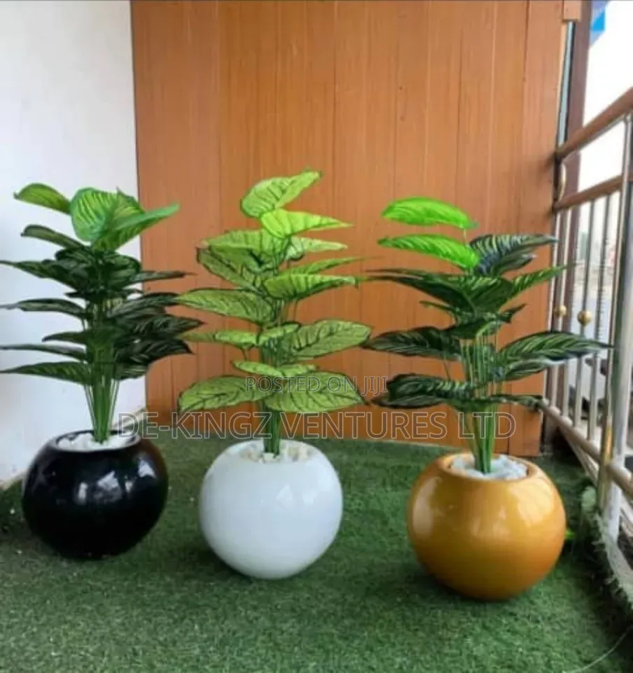 Flower Vases of All Sizes & Decoration Pot