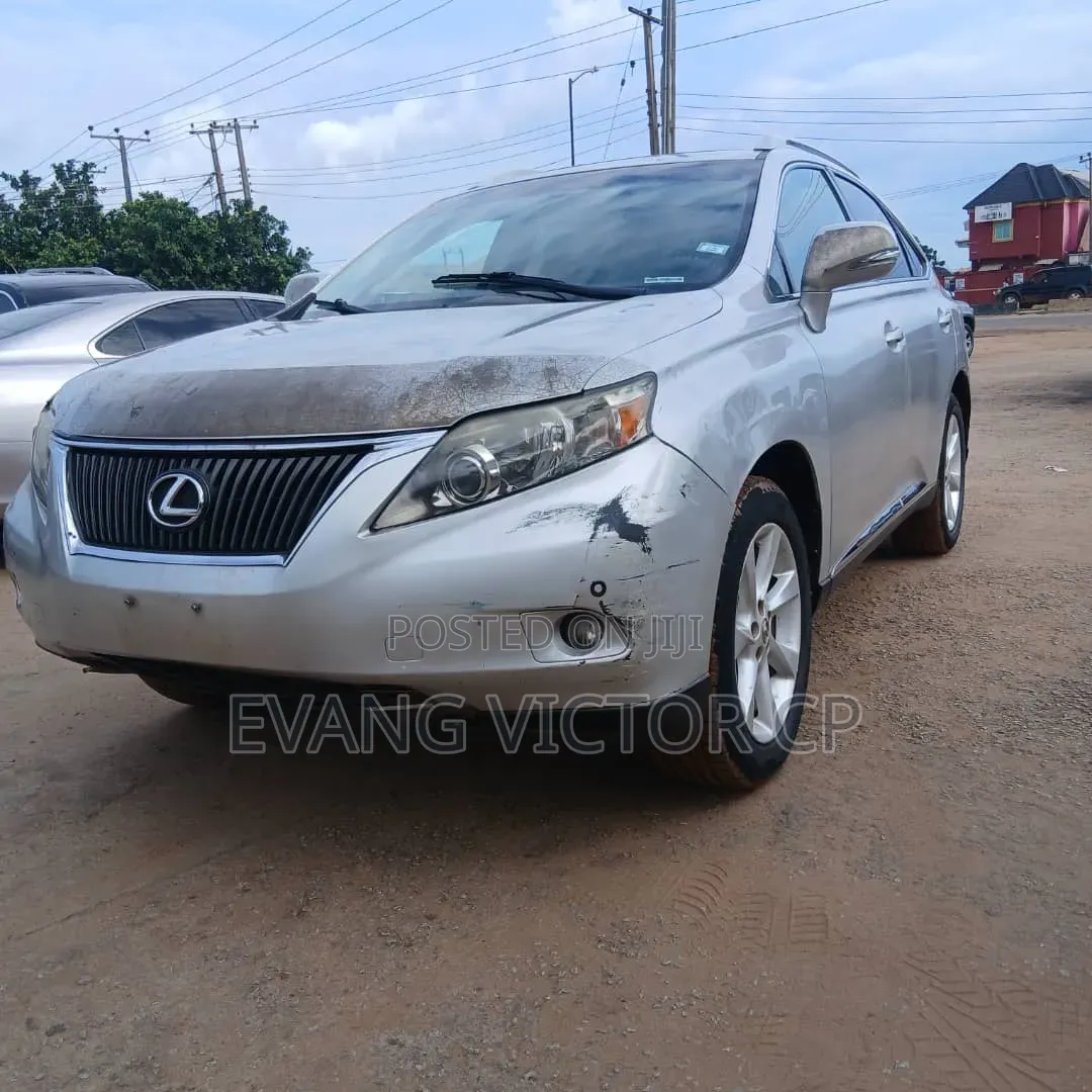 Lexus RX 350 2010 Silver