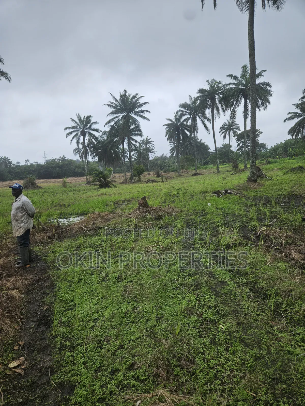 3 Acres of Swamped Land for Farming