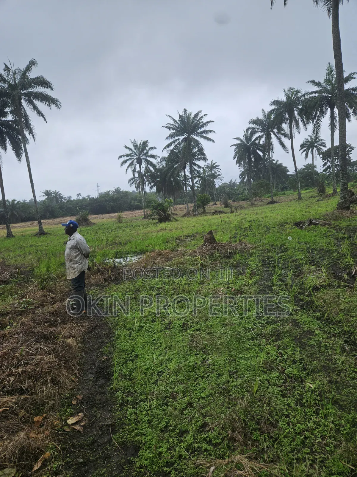 3 Acres of Swamped Land for Farming