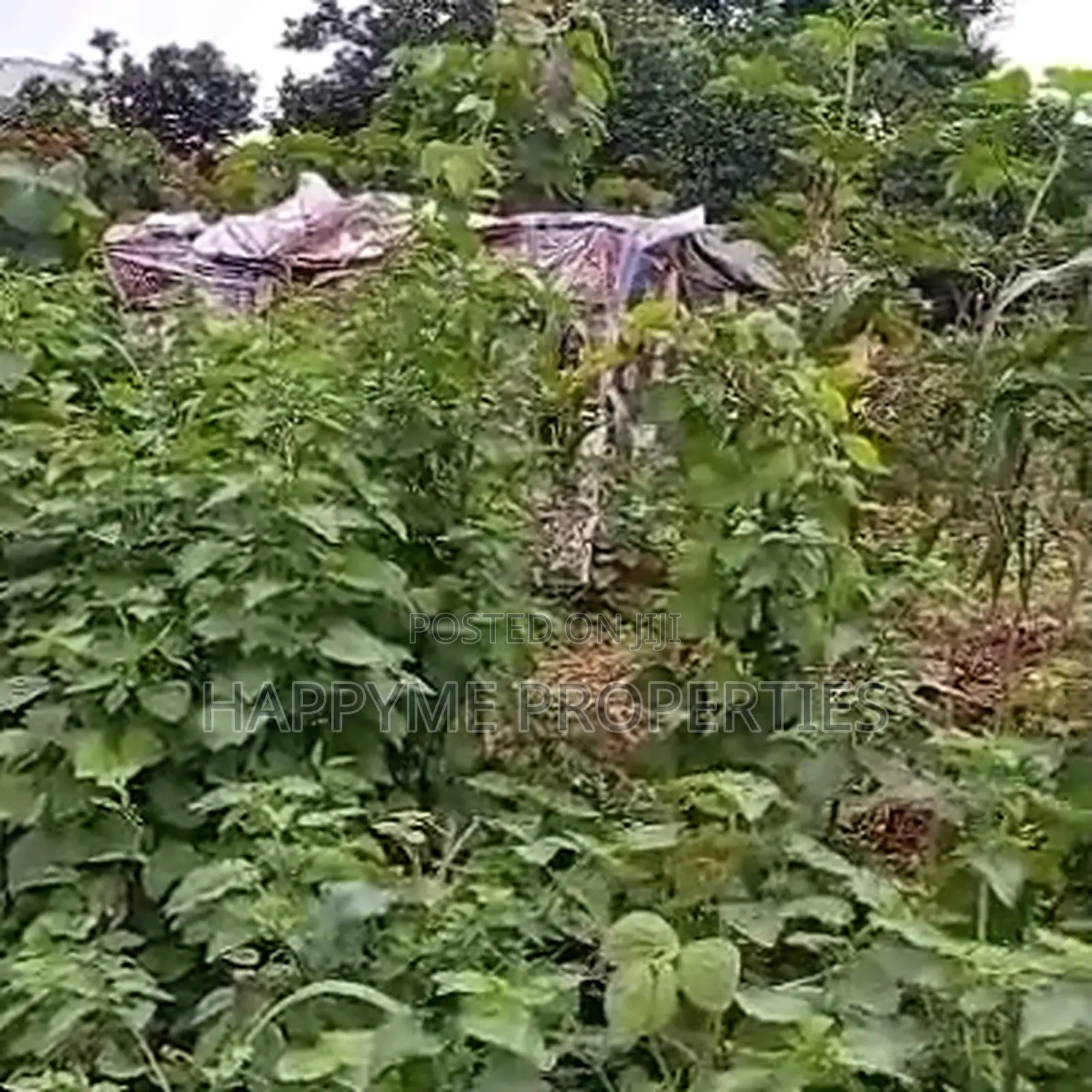 Quick Sale | Prime Residential Land in Katampe District