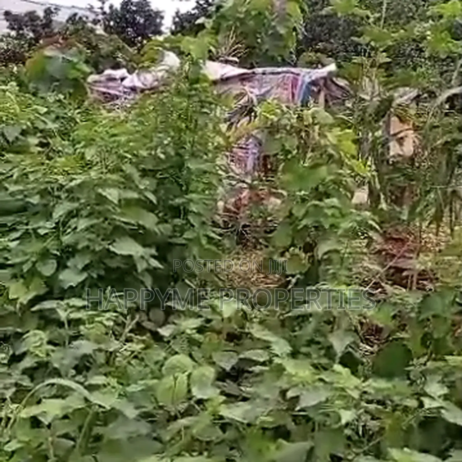 Quick Sale | Prime Residential Land in Katampe District