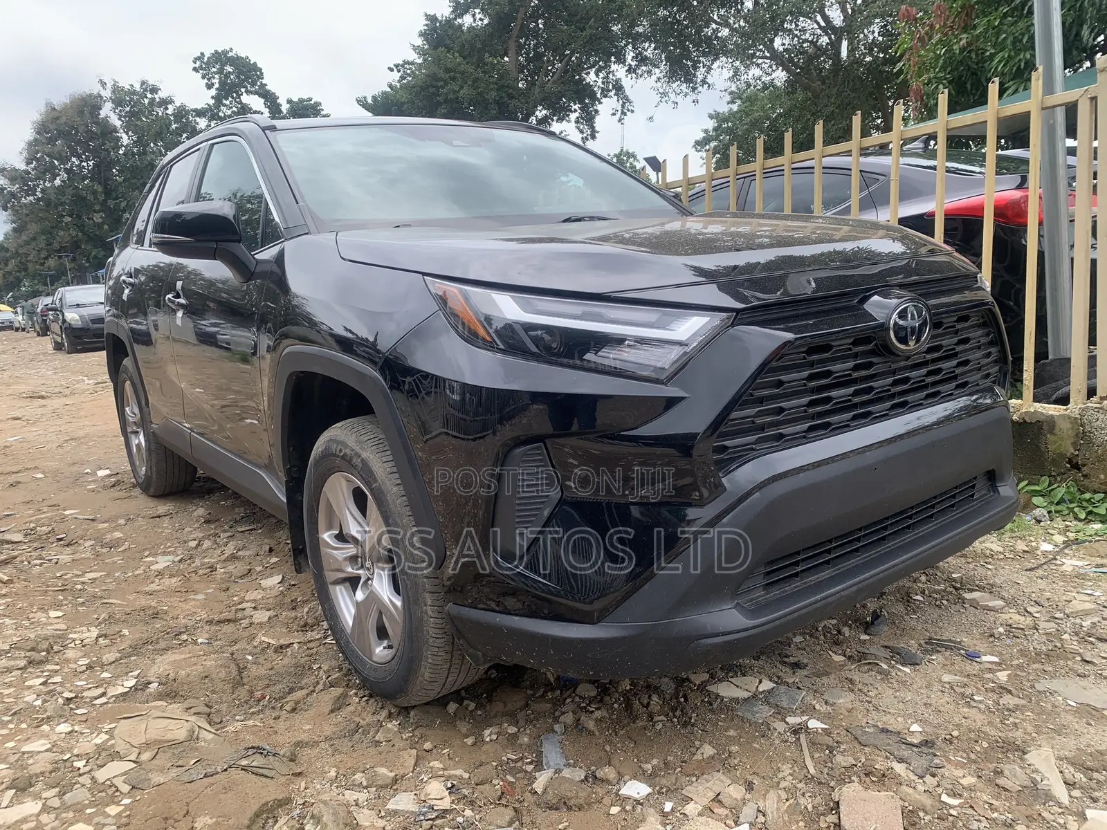 Toyota RAV4 XLE Premium 2022 Black