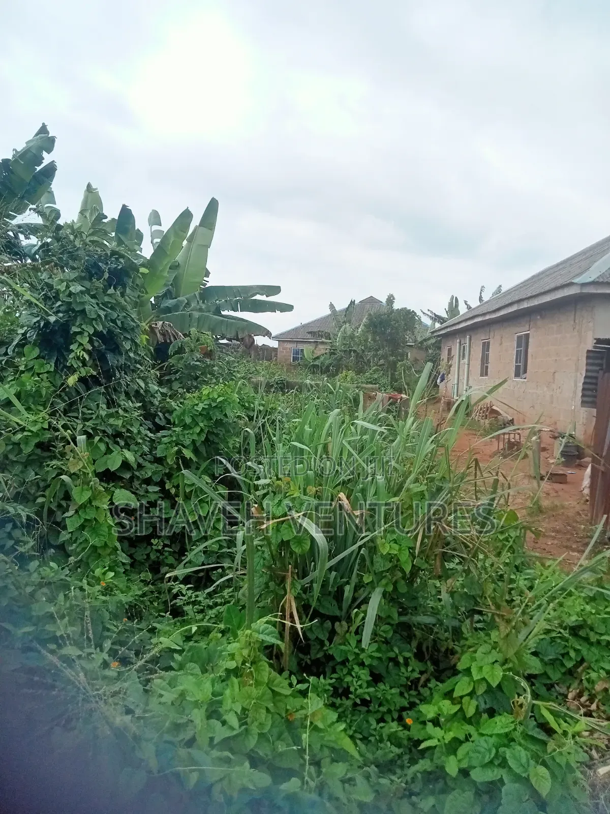 Half Plot for Sale at Abiola Gasline Cannacity