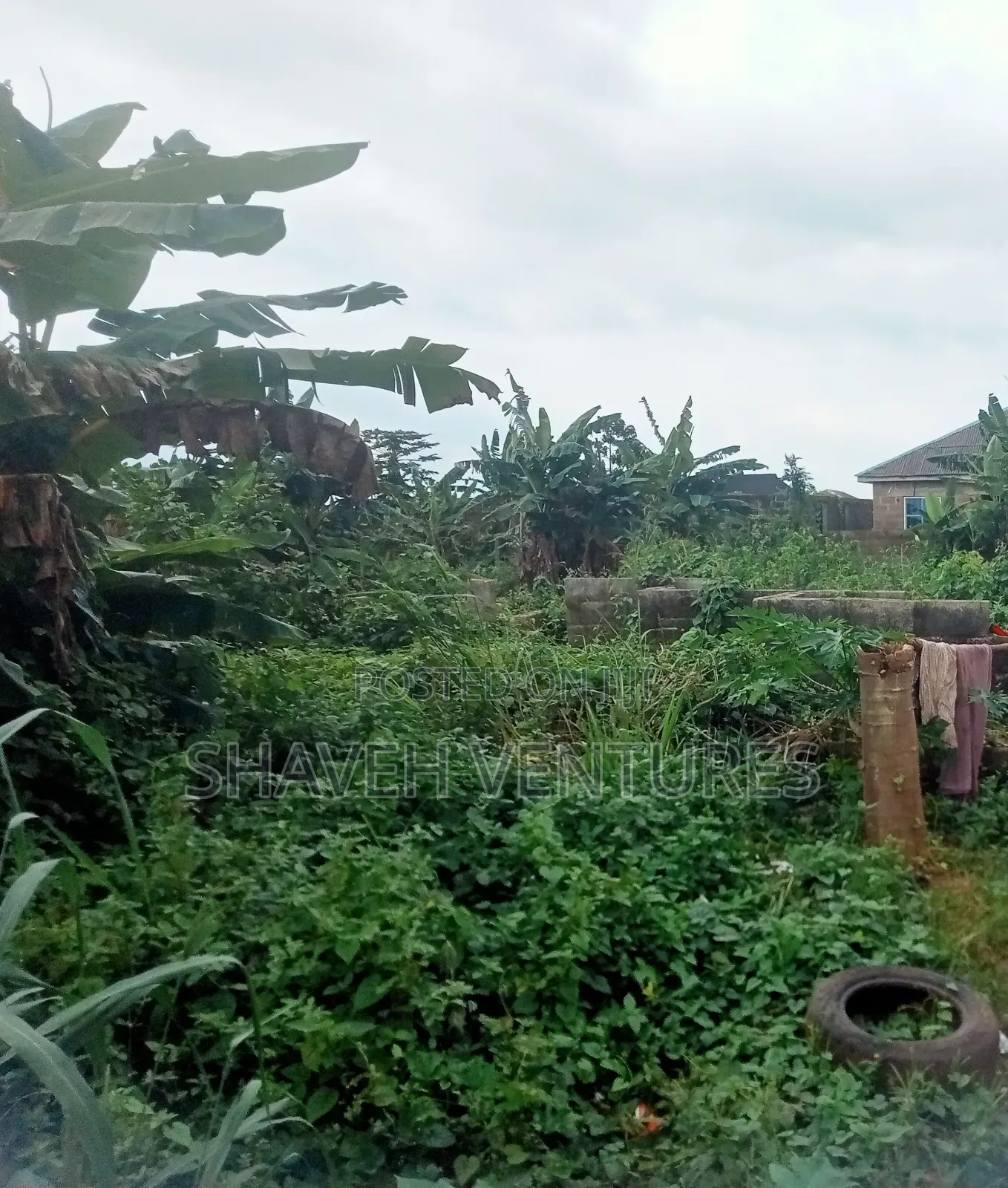 Half Plot for Sale at Abiola Gasline Cannacity