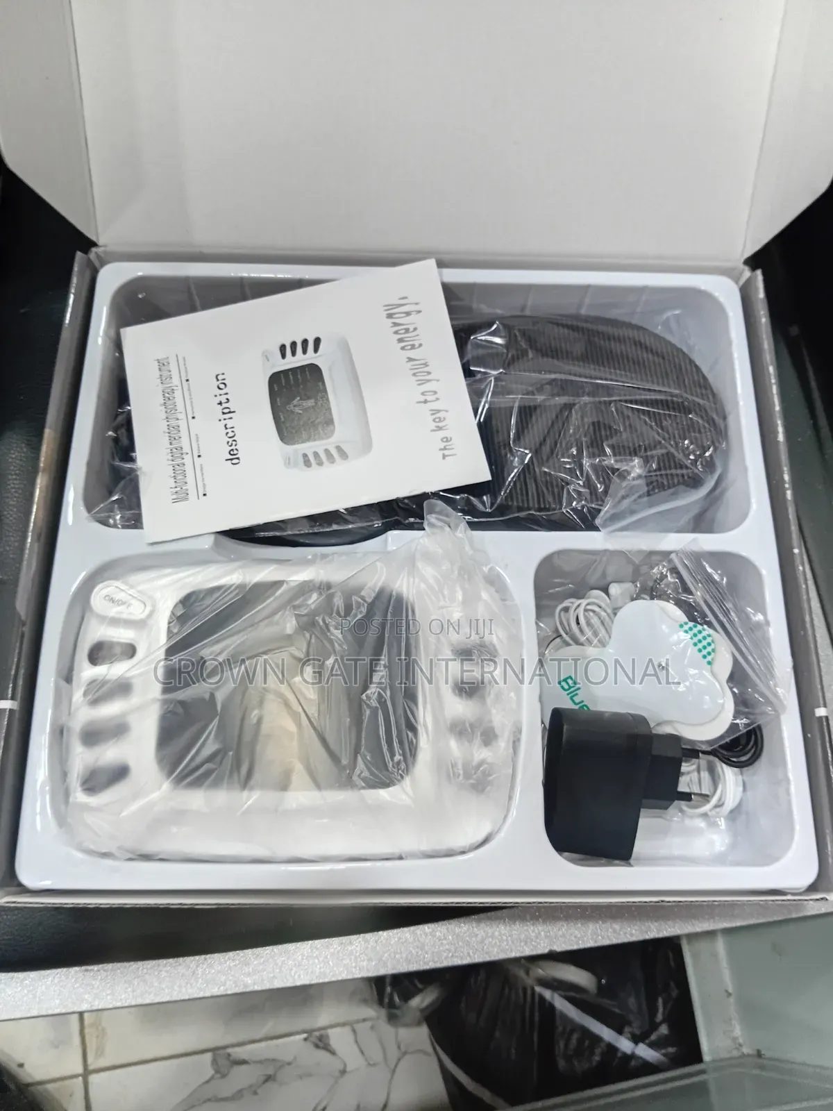 Electronic Pulse Massager