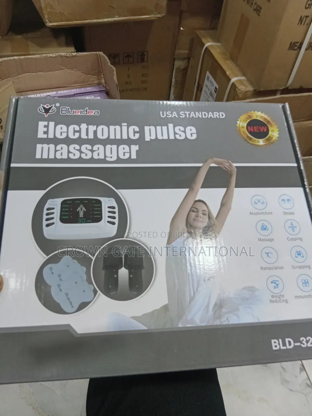 Electronic Pulse Massager