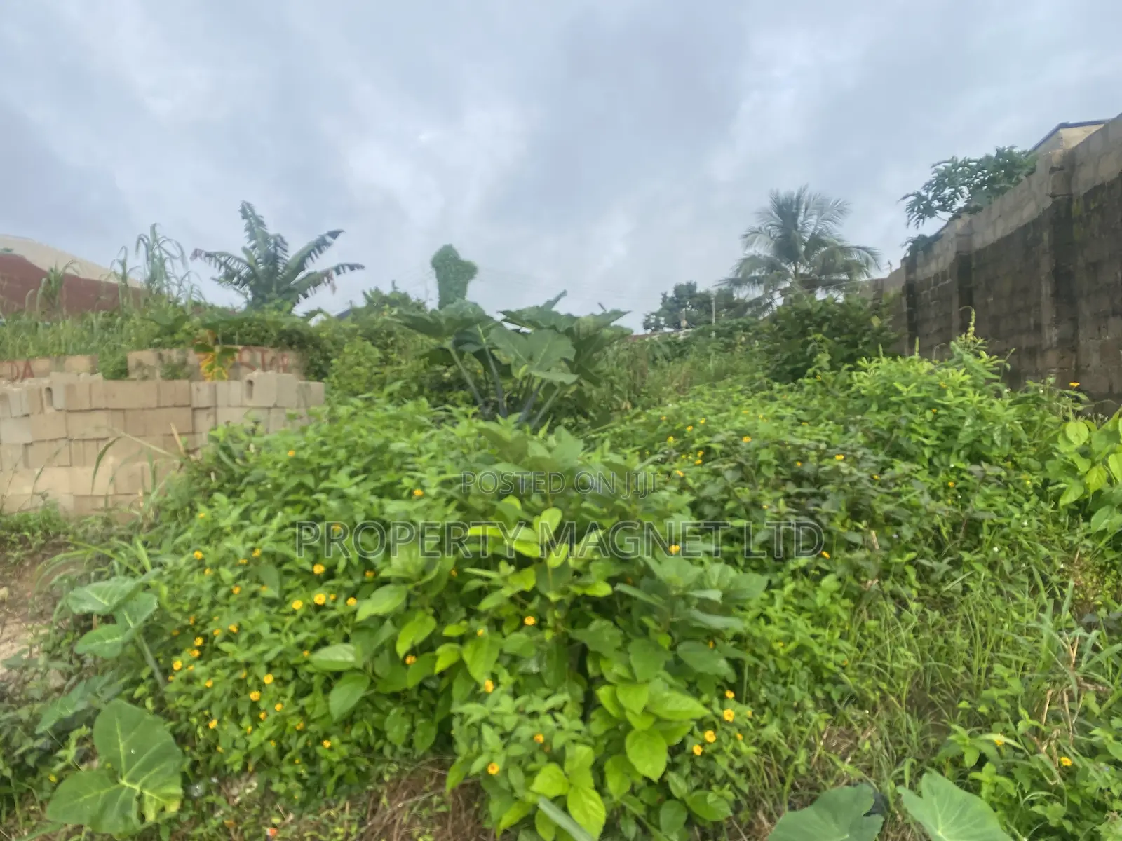 40 Plots of Land for Sale at Agbo Ibeku Umuahia