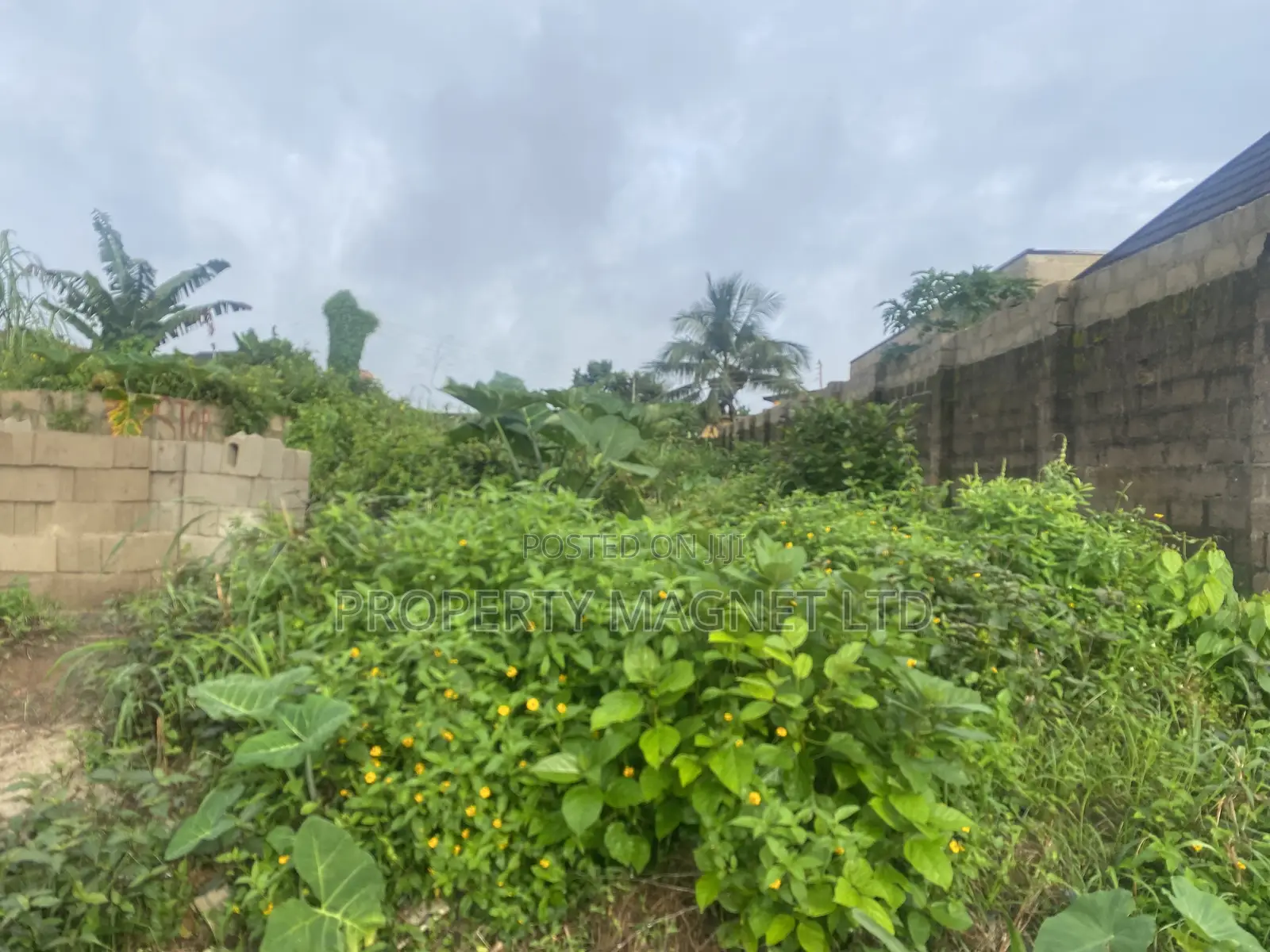 40 Plots of Land for Sale at Agbo Ibeku Umuahia