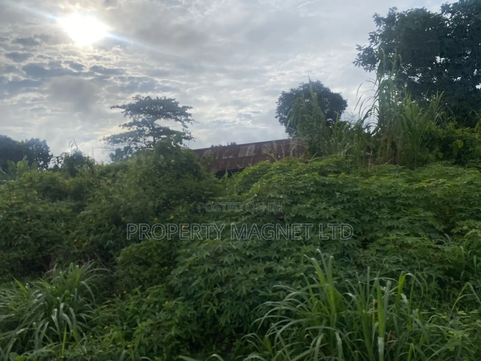 1 Coner Plot for Sale at Unity Estate Umuahia