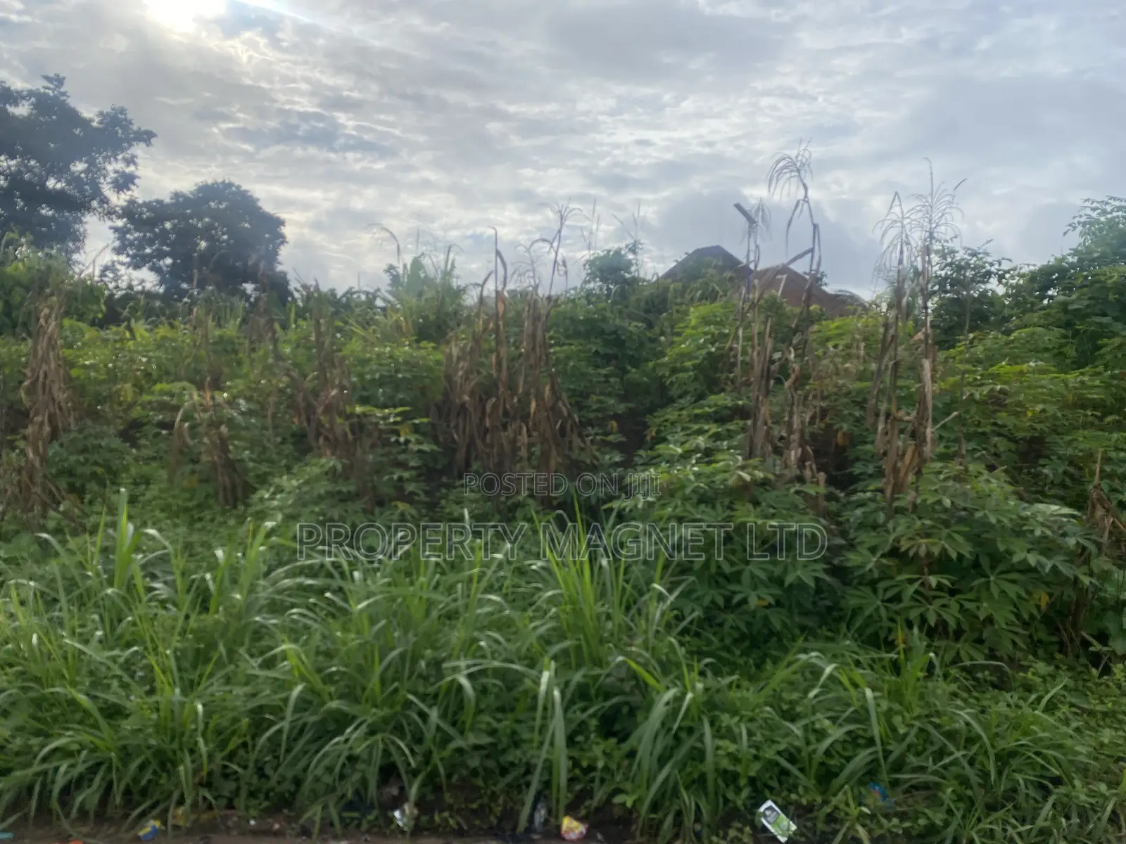 2 Plots of Land for Sale at Umuobia Estate Umuahia