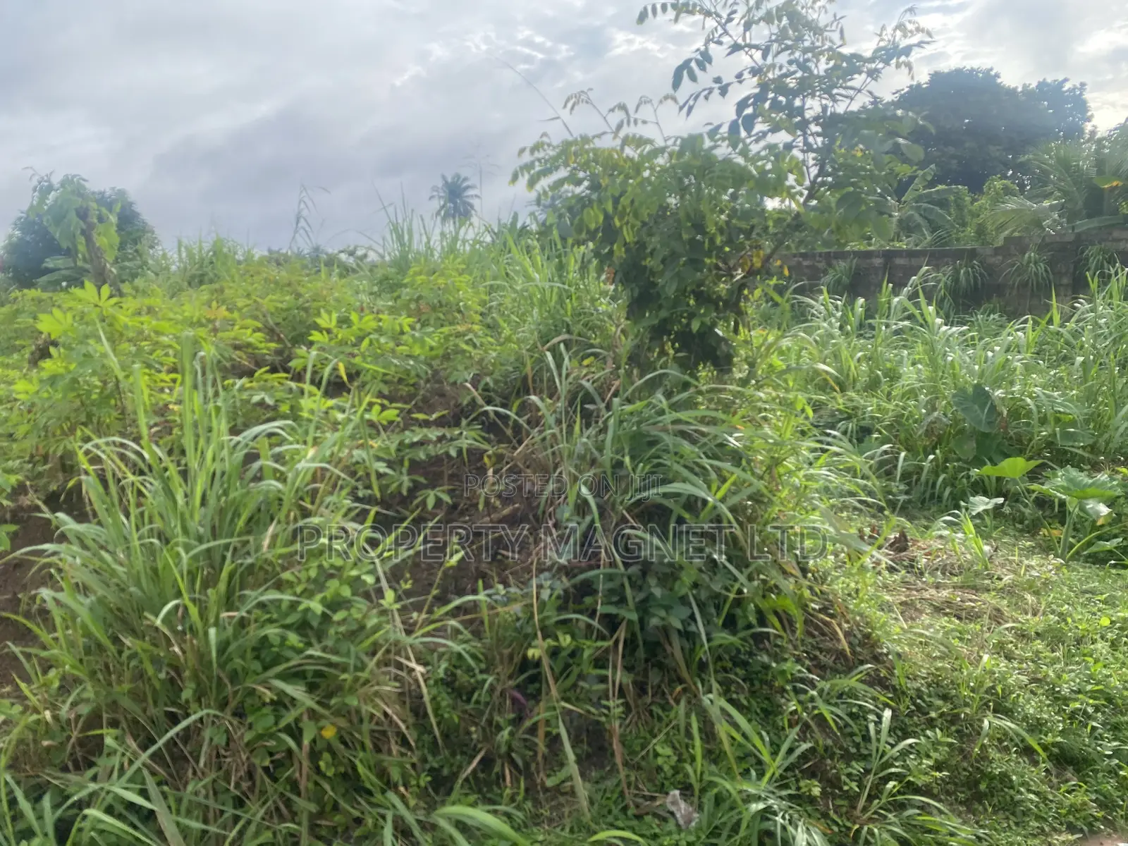 2 Plots of Land for Sale at Umuobia Estate Umuahia