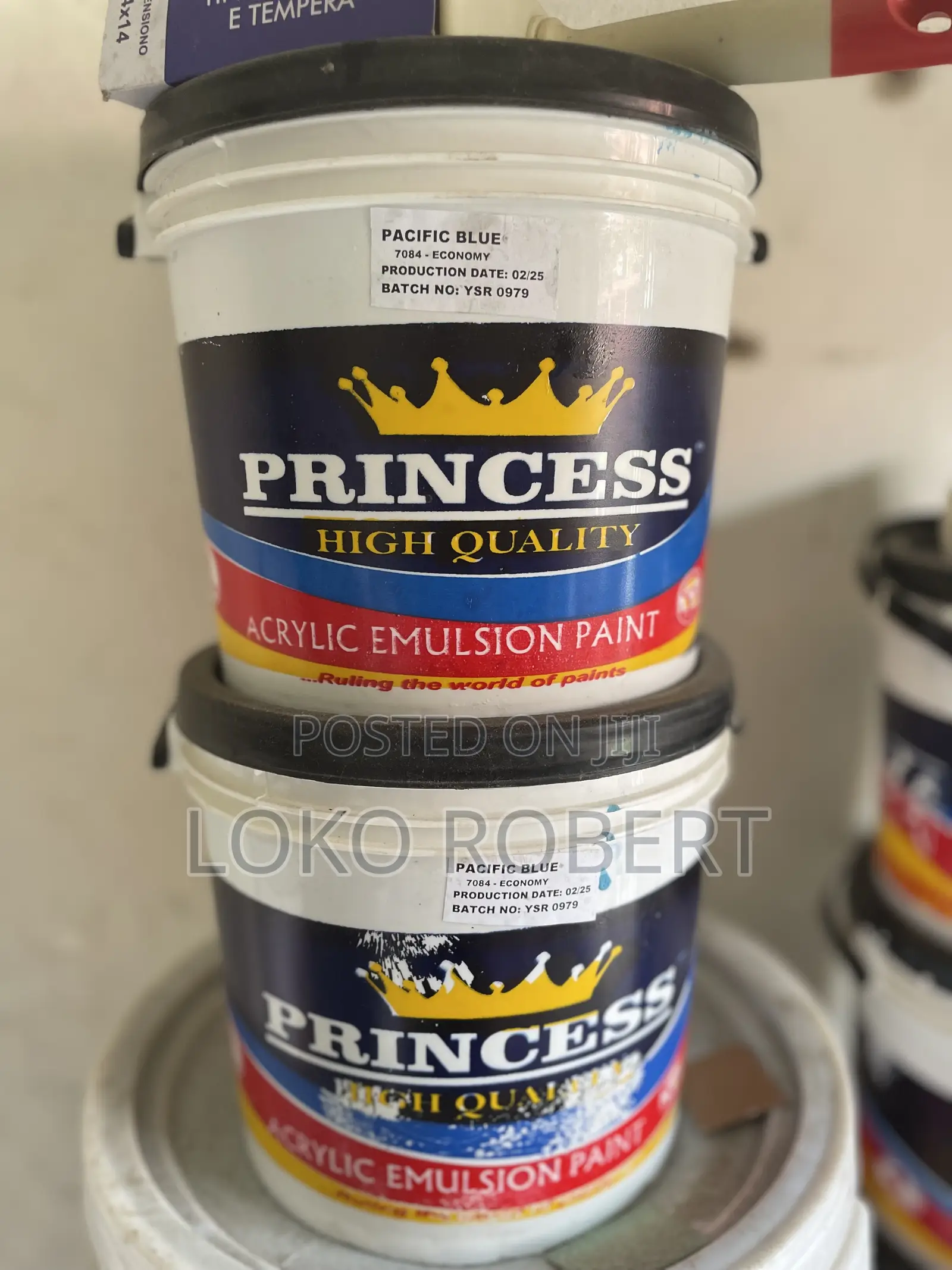 Princess Paint Quality Princess Paints Available Multiple Color