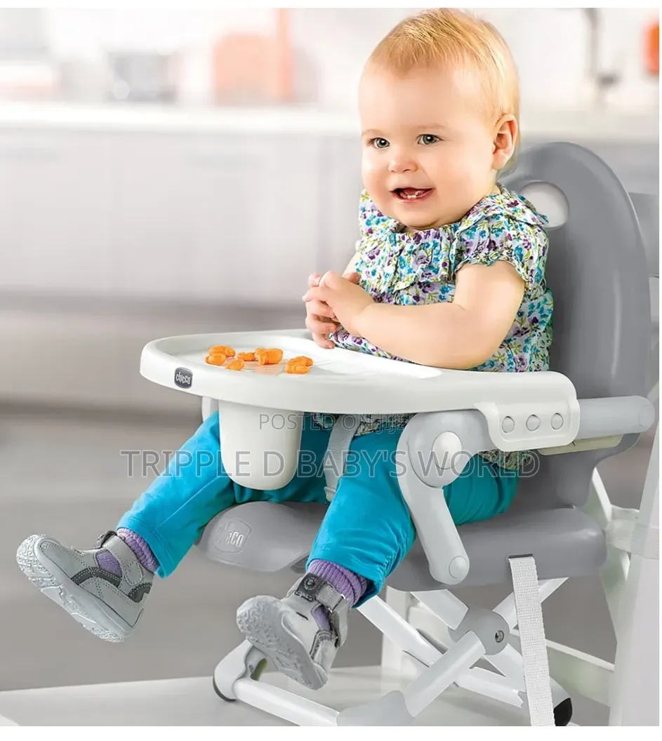 Chicco PocketSnack Booster Seat