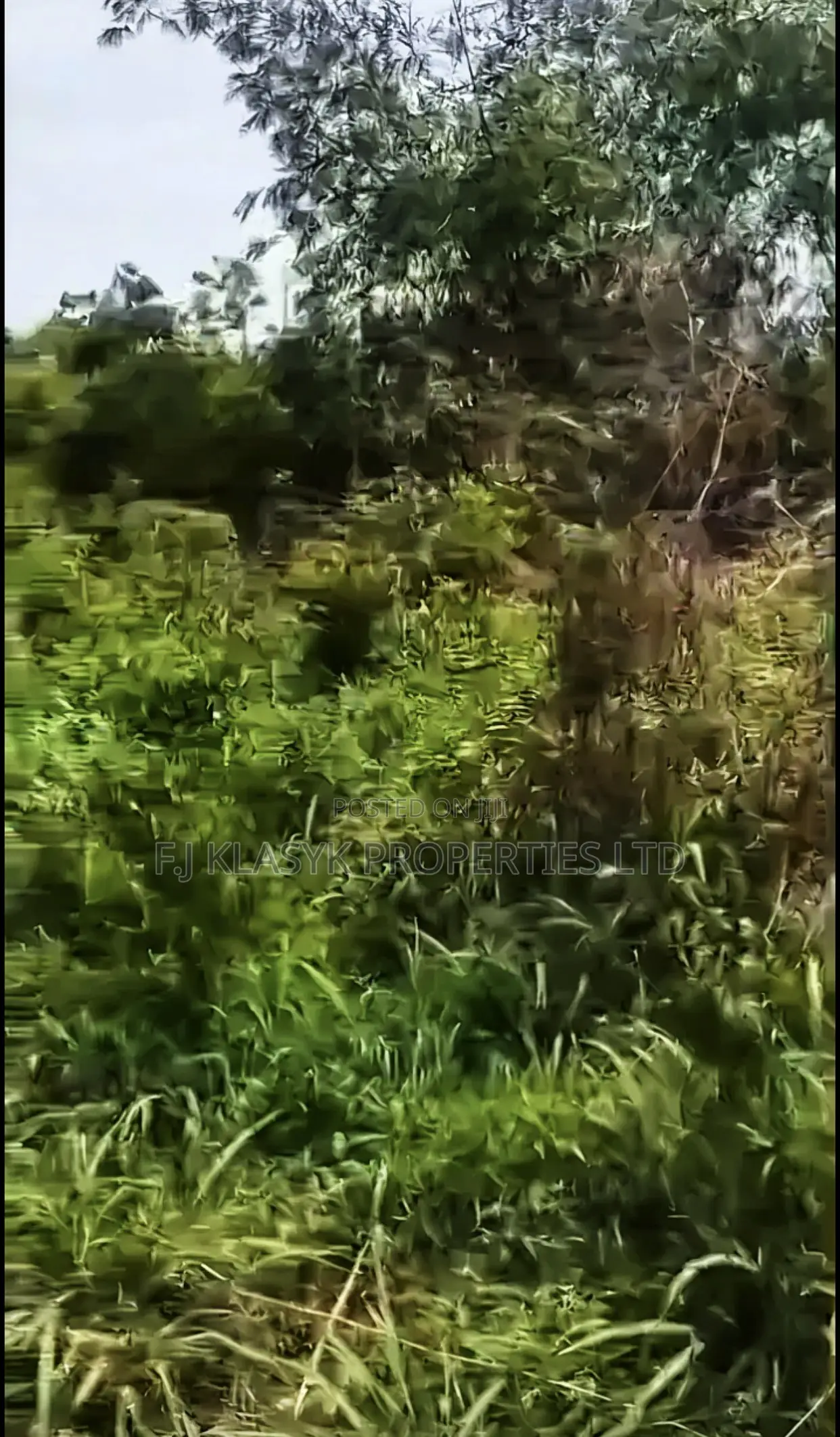 2 Plots of Land for Sale at Ikhuen Bypass Opposite Goshen City Estate