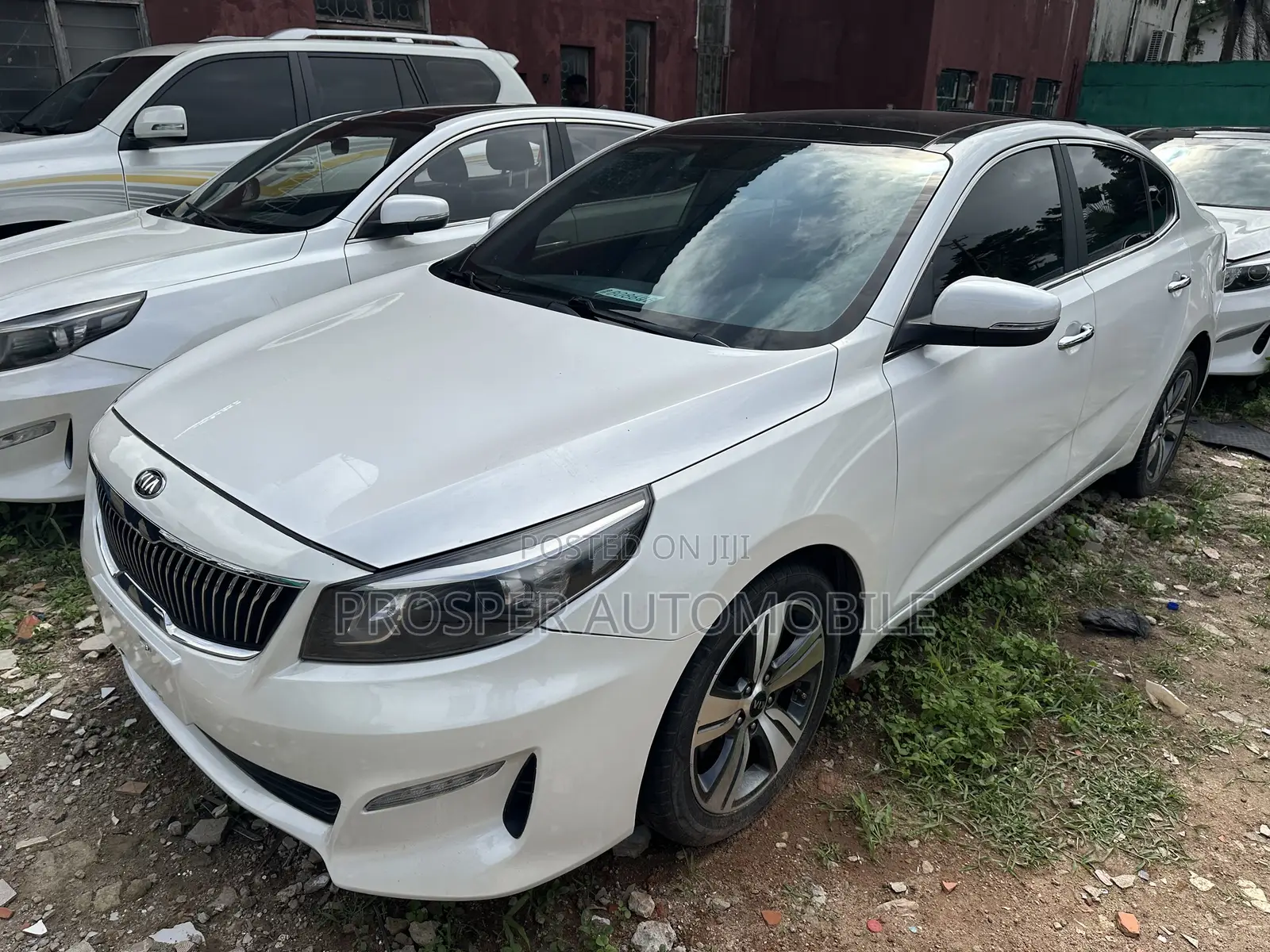 Kia K4 GT-Line Turbo FWD 2025 White