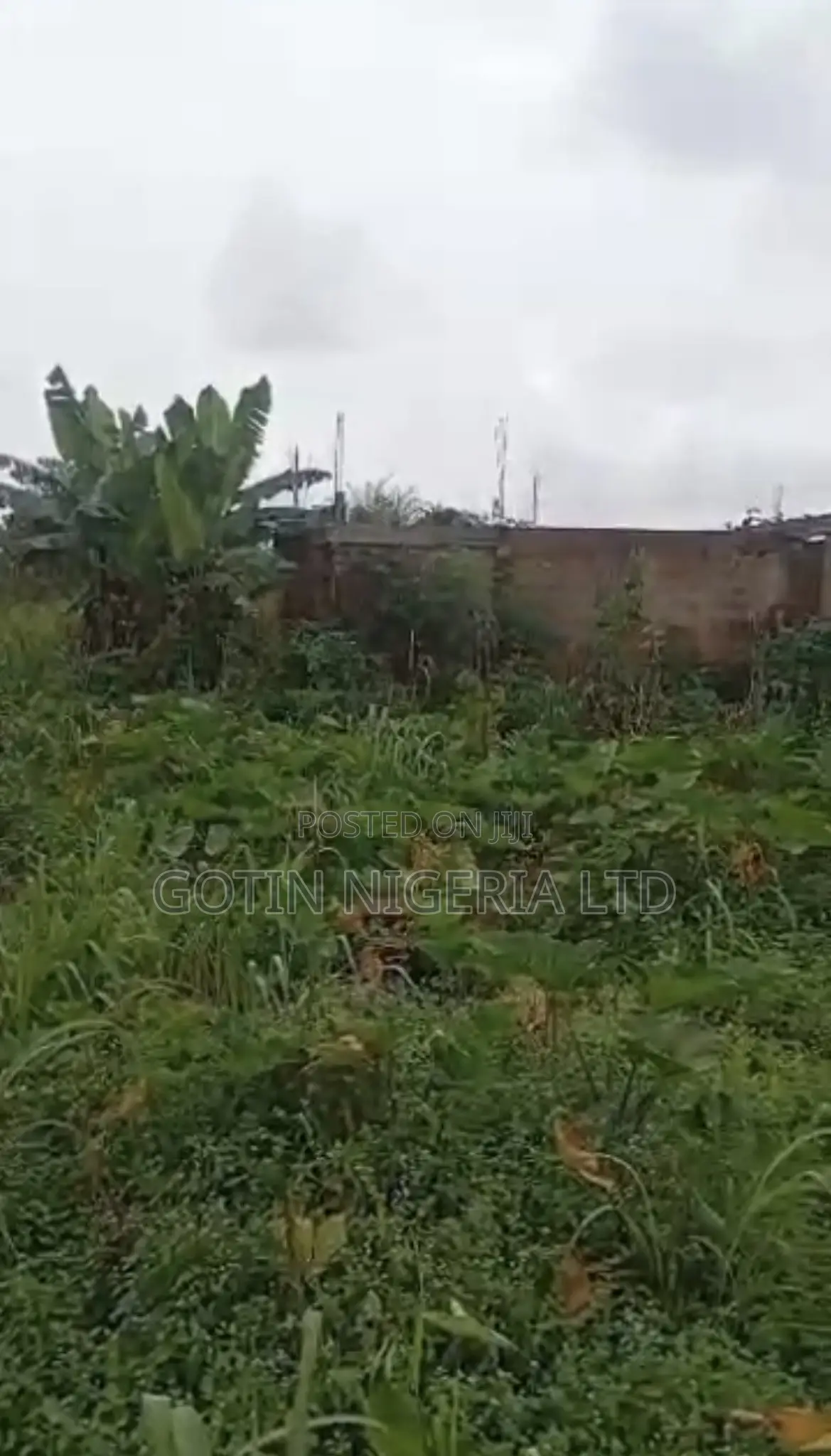 100×100 Plot of Land at Ayen, Egba Benin Auchi Road