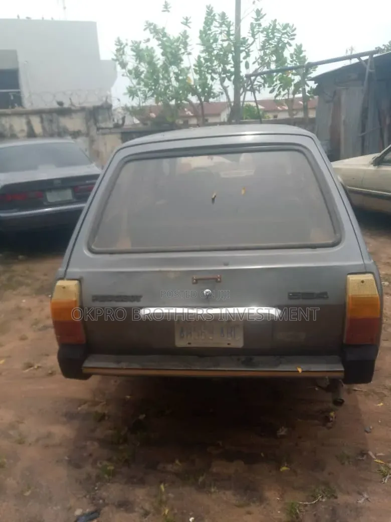 Peugeot 504 1990 Gray