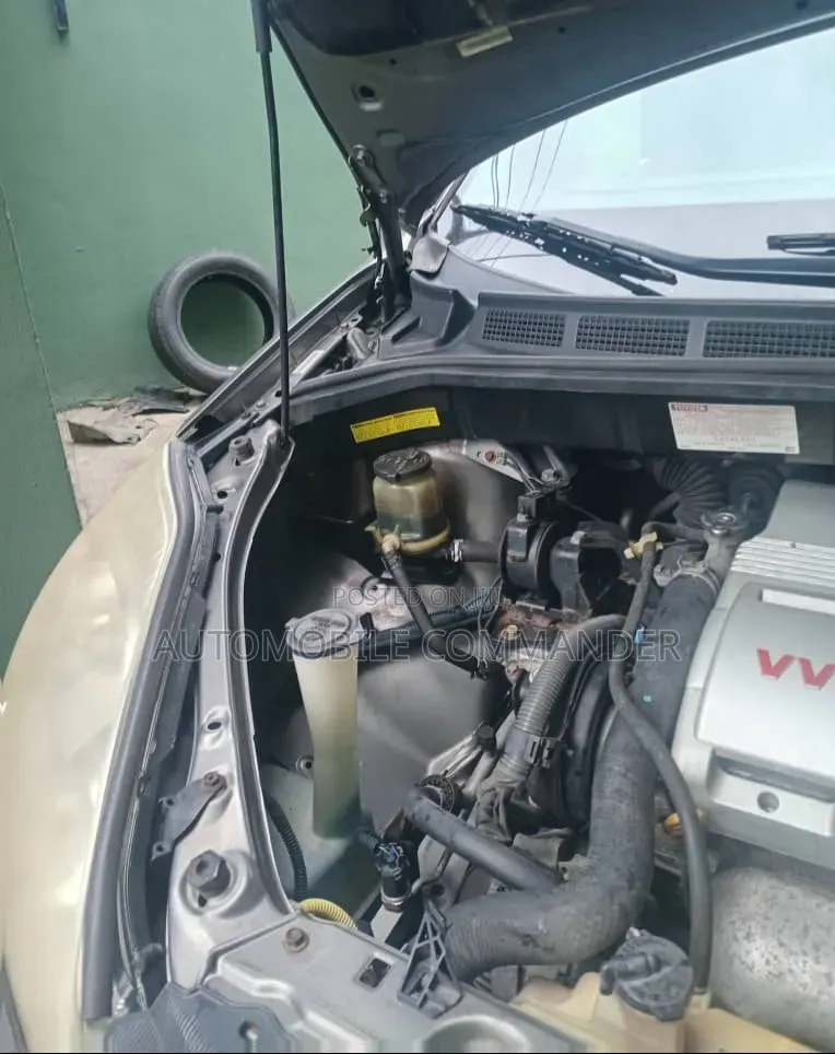 Toyota Sienna 2004 Gray