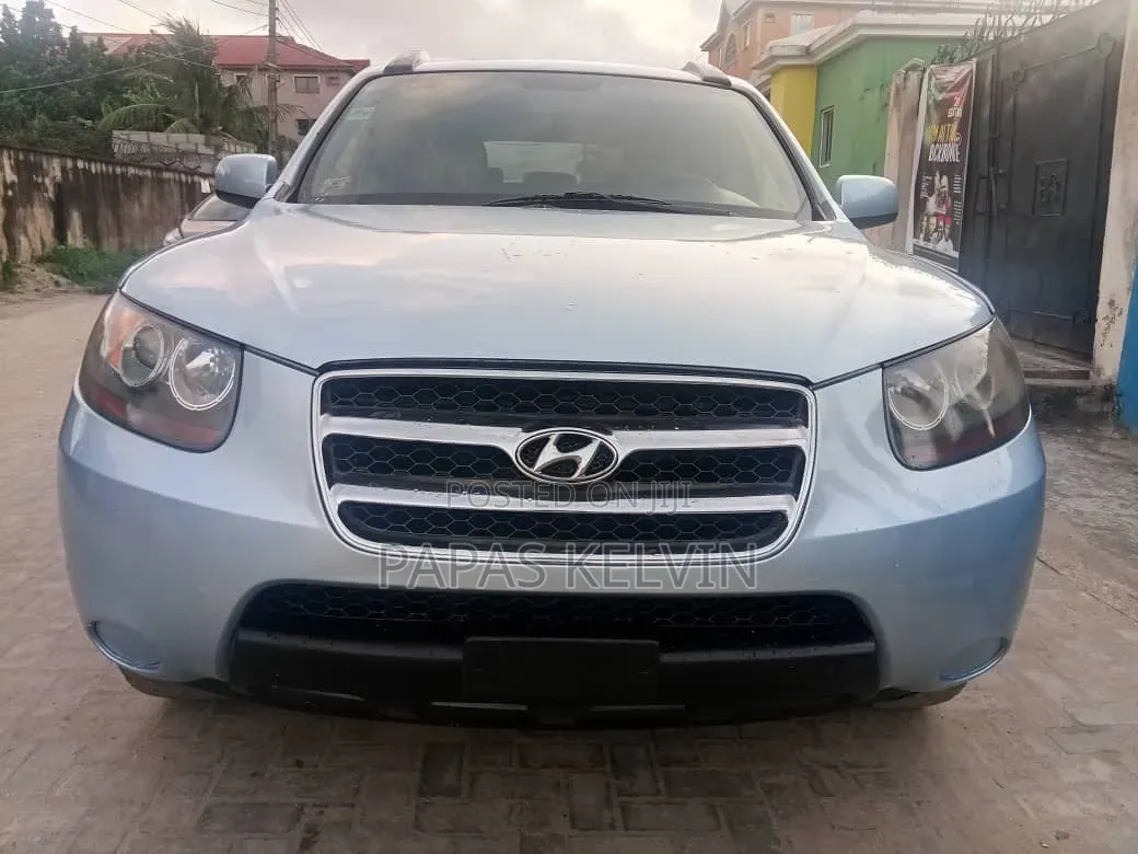 Hyundai Santa Fe 2008 Blue
