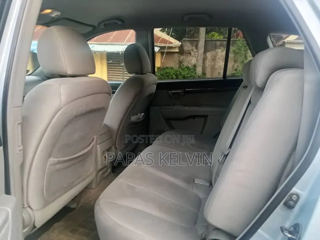Hyundai Santa Fe 2008 Blue