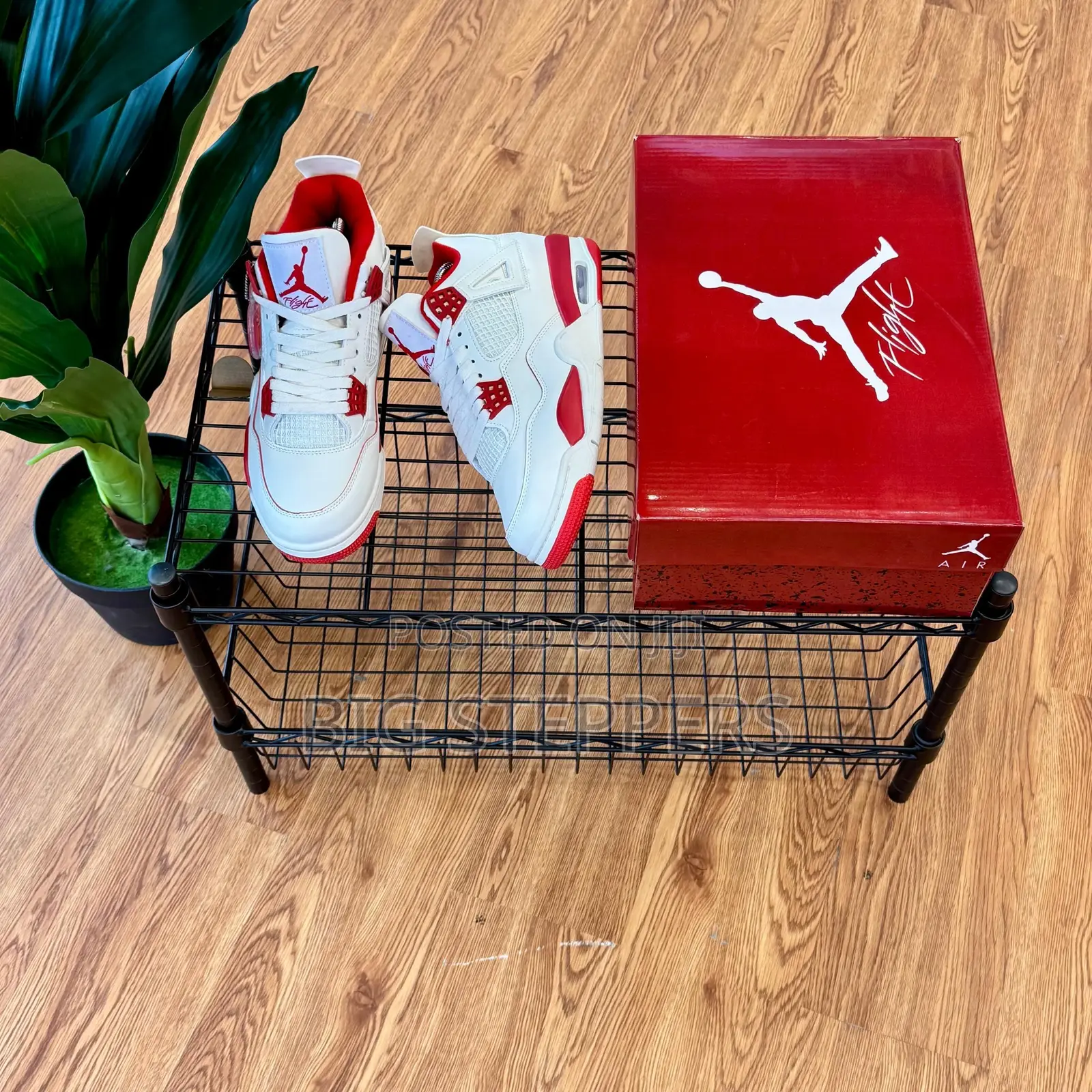 Nike Jordan 4