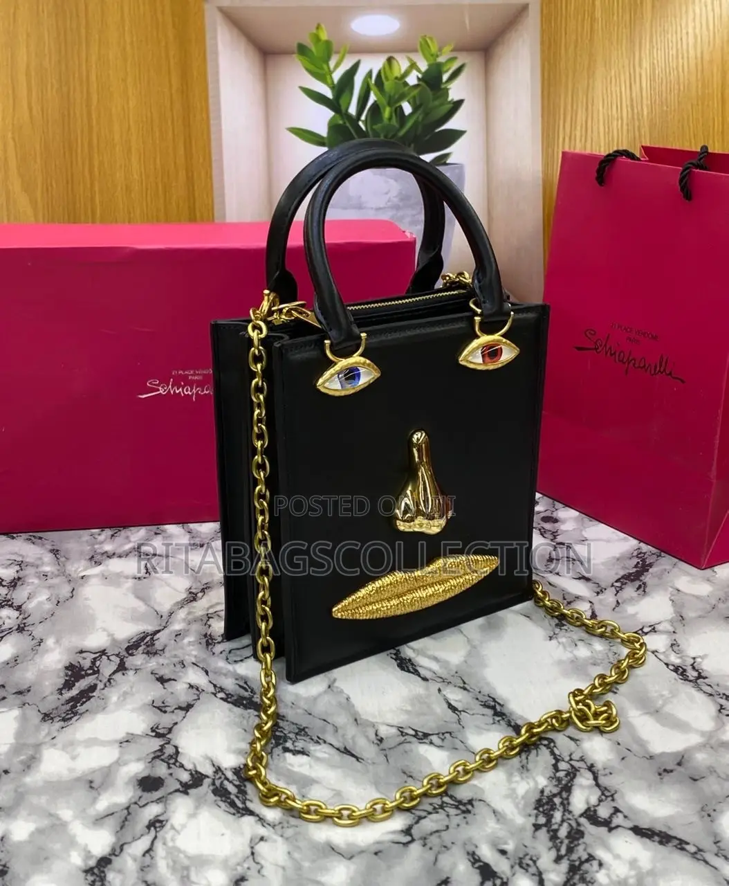 Luxury Schiaparelli Bag