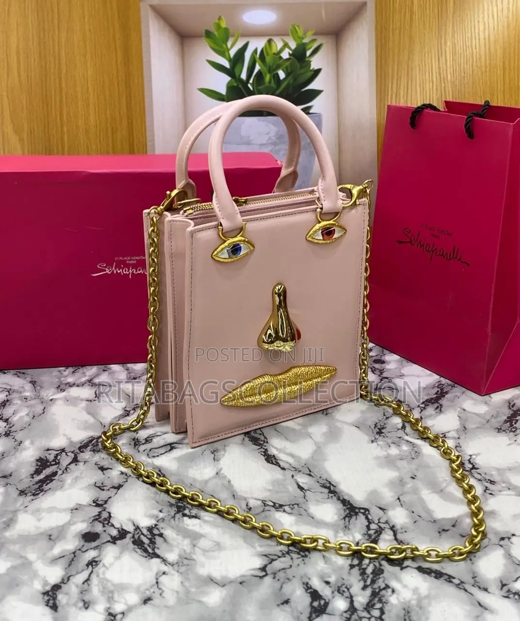 Luxury Schiaparelli Bag