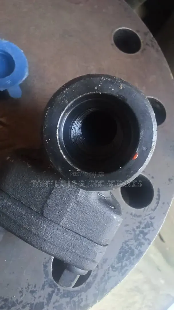 1"x800 Piston Check Valve