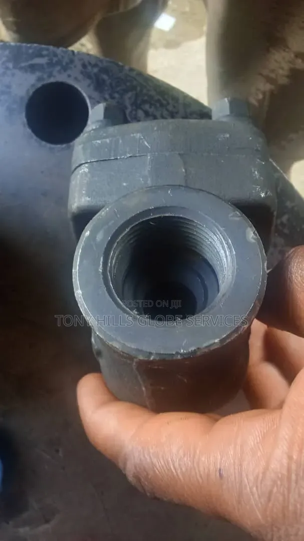 1"x800 Piston Check Valve