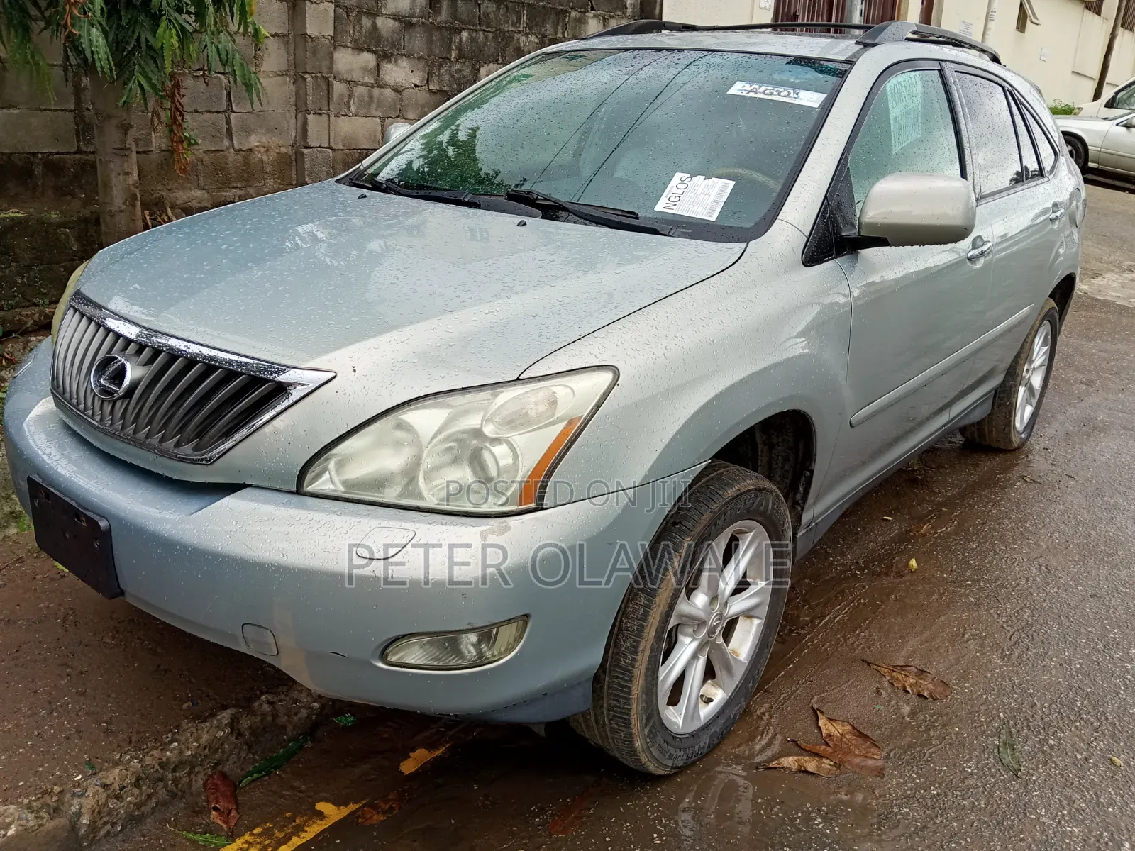 Lexus RX 2009 Green