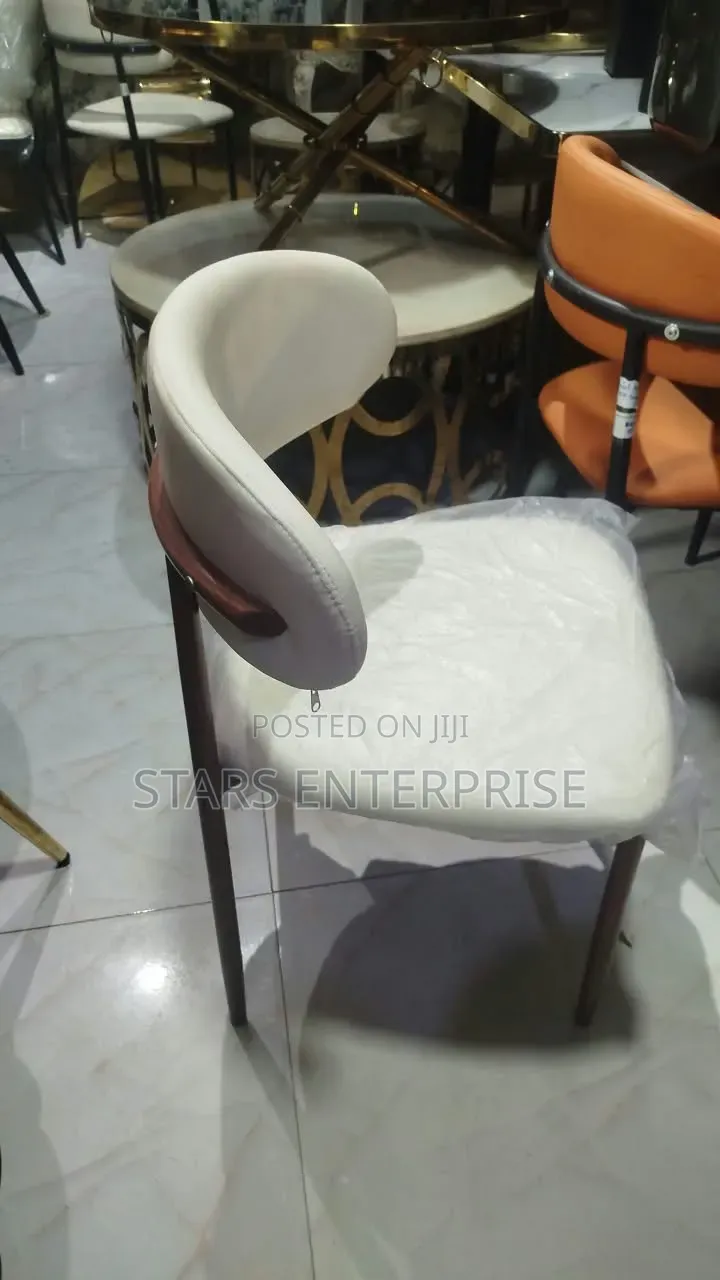 Dining Chair / Modern Restaurant Chair.
