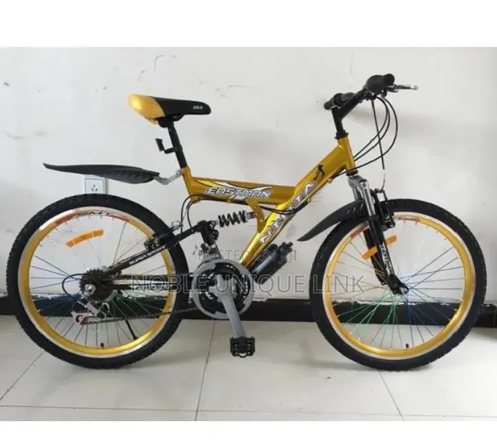 Adults Bicycle Size 24
