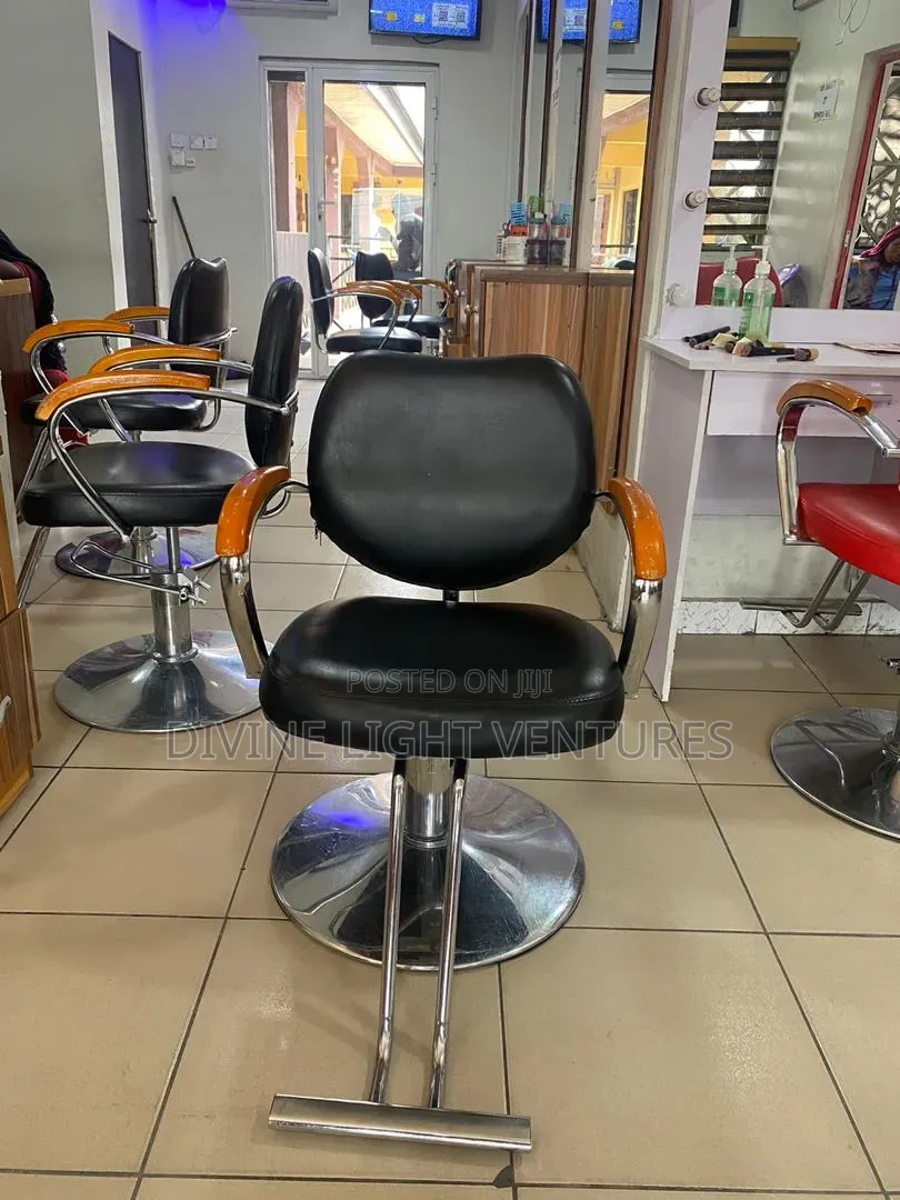 Salon Chairs